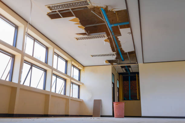 Best Emergency water damage restoration  in Ocean View, DE