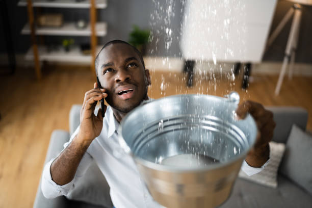 Best Water damage restoration experts  in Ocean View, DE