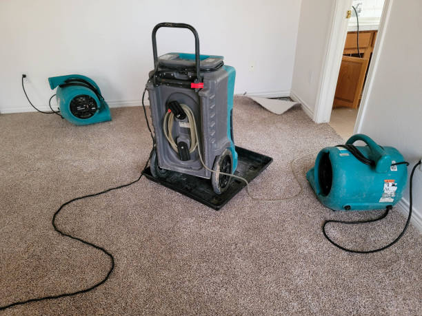 Best Water damage contractors near me  in Ocean View, DE