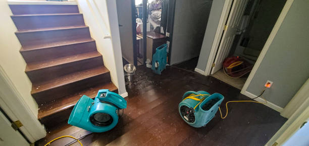 Best Flooded house restoration  in Ocean View, DE