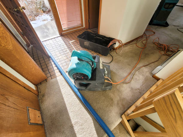 , DE Water damage restoration Company