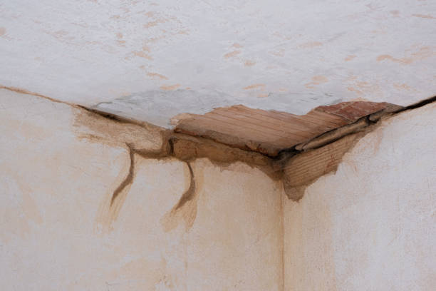 Best Local water damage restoration  in Ocean View, DE