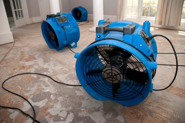 Best Ceiling water damage repair  in Ocean View, DE