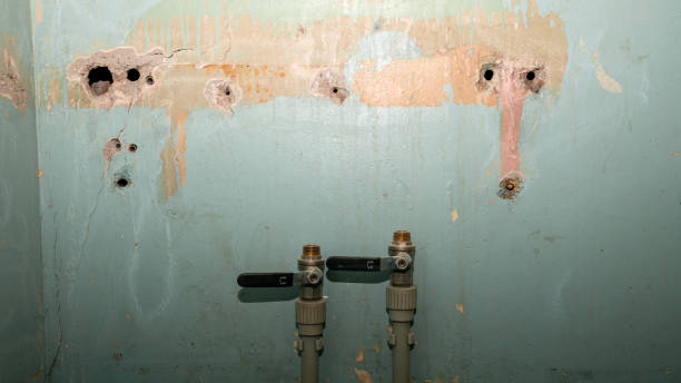 Reliable DE Water damage restoration Solutions