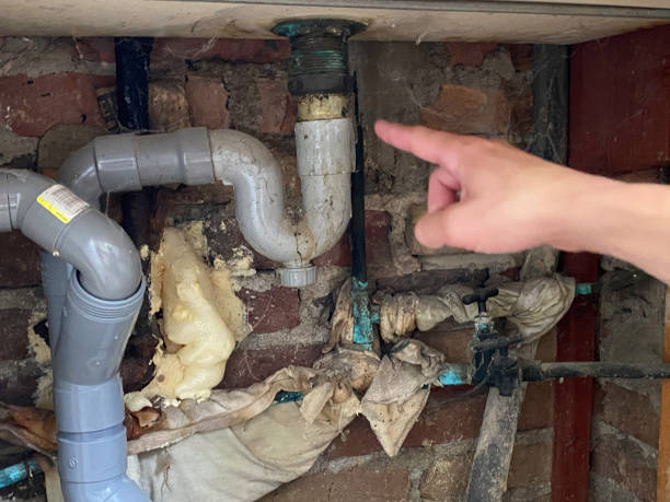 Best Residential water damage restoration  in Ocean View, DE